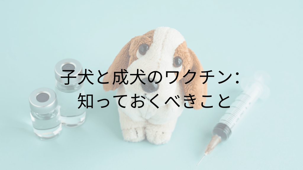 子犬と成犬のワクチン：知っておくべきすべてのこと