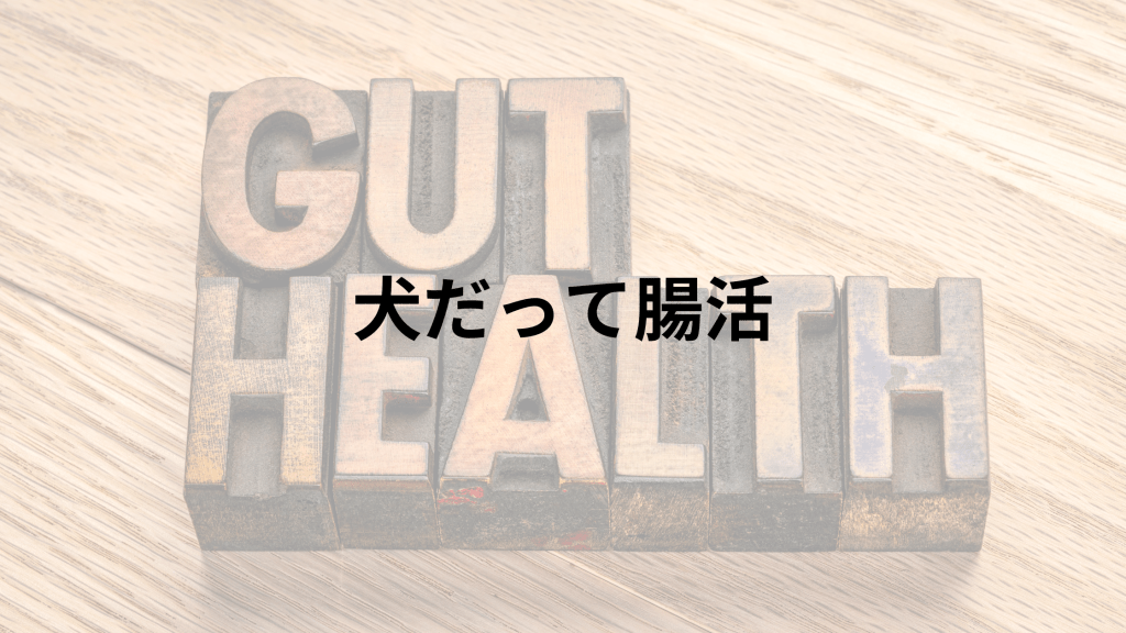 犬だって腸活