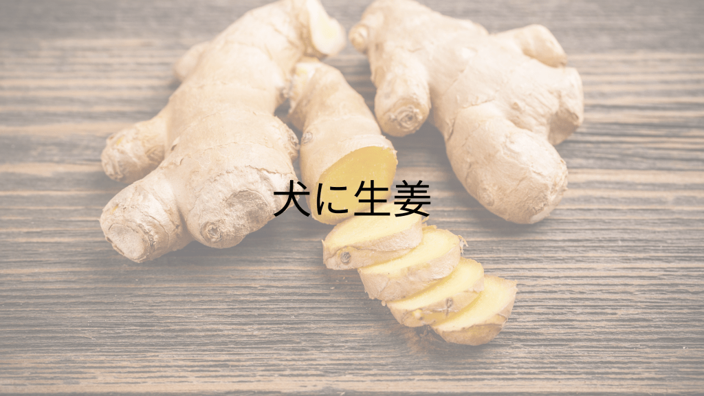 生姜って犬にいいの？？