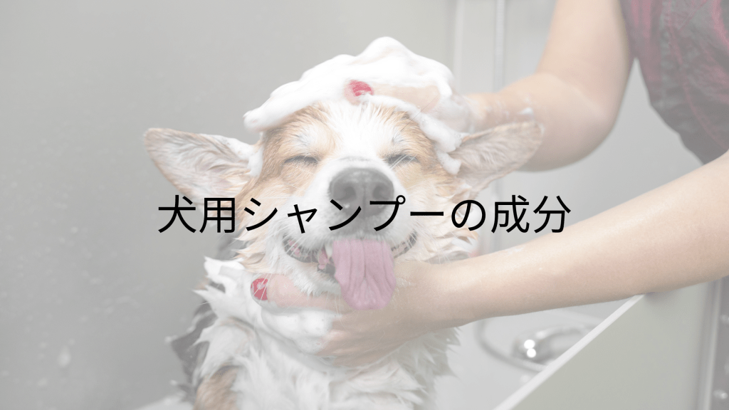 使用を避けるべき犬用シャンプーの成分16選