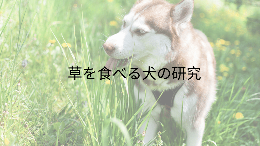草を食べる犬の研究