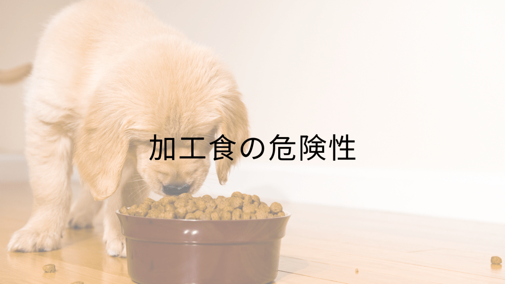 加工食の危険性